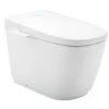Bồn cầu thông minh INAX AC-816VN